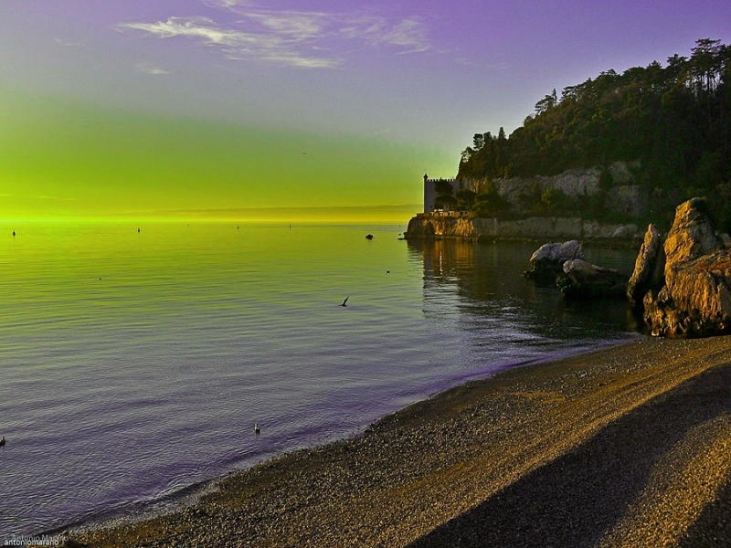 Clicca per l'immagine full size