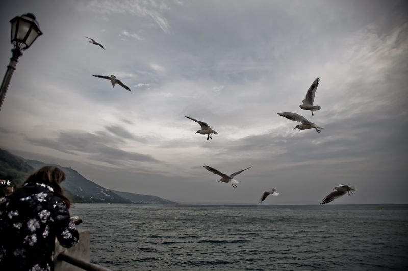 Clicca per l'immagine full size