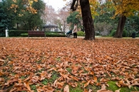 AUTUNNO_2.jpg