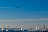 Barcolana_2010_0140.jpg