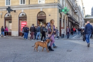 Nome File=DOPPIO_GUINZALIO.jpg
Dimensione File=366KB
Dimensioni=1000x667
Data aggiunta=Ott 24, 2021 DOPPIO_GUINZALIO.jpg