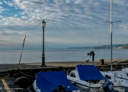 DSCF1199.jpg DSCF1199.jpg
