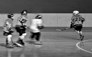 Nome File=HOCKEY-4-bn.jpg
Dimensione File=268KB
Dimensioni=900x561
Data aggiunta=Giu 09, 2010 HOCKEY-4-bn.jpg