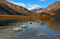 Nome File=LAGO_DI_CAVAZZO_RID.jpg
Dimensione File=365KB
Dimensioni=900x599
Data aggiunta=Nov 02, 2009 LAGO_DI_CAVAZZO_RID.jpg