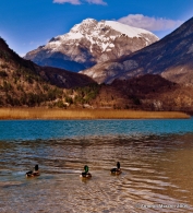 Nome File=LAGO_PAPERE.jpg
Dimensione File=328KB
Dimensioni=728x800
Data aggiunta=Ago 26, 2009 LAGO_PAPERE.jpg