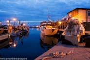 Nome File=Muggia.jpg
Dimensione File=164KB
Dimensioni=1000x666
Data aggiunta=Feb 12, 2012 Muggia.jpg