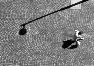 Nome File=OCCHIO_ALLA_SPESA.JPG
Dimensione File=323KB
Dimensioni=900x630
Data aggiunta=Mag 25, 2011 OCCHIO_ALLA_SPESA.JPG