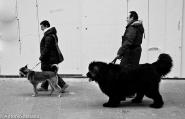 Nome File=Passeggio_(1_di_1).jpg
Dimensione File=297KB
Dimensioni=900x579
Data aggiunta=Feb 28, 2011 Passeggio_(1_di_1).jpg