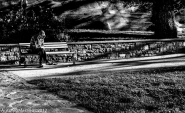 Street_09-46-59.jpg