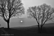 Nome File=TRAMONTO_D_INVERNO_bn.jpg
Dimensione File=308KB
Dimensioni=850x566
Data aggiunta=Mar 02, 2010 TRAMONTO_D_INVERNO_bn.jpg