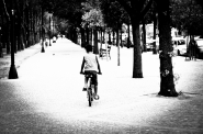 VIALE_2-1-2.jpg