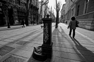 VIALE~0.jpg VIALE~0.jpg