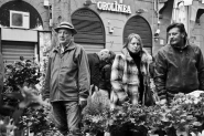 fiori_in_viale.jpg
