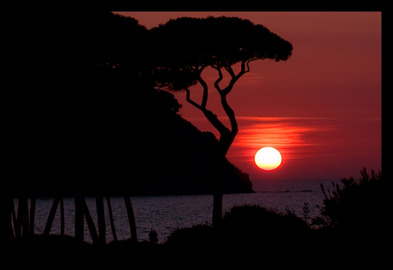 Clicca per l'immagine full size