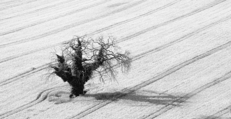Clicca per l'immagine full size