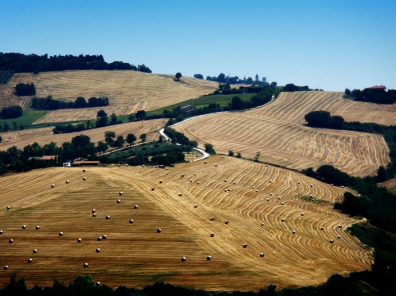 Clicca per l'immagine full size