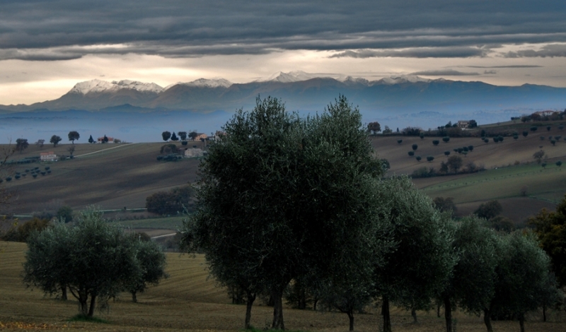 Clicca per l'immagine full size