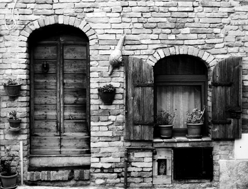 Clicca per l'immagine full size
