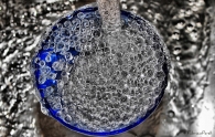micromosso17.jpg micromosso17.jpg
