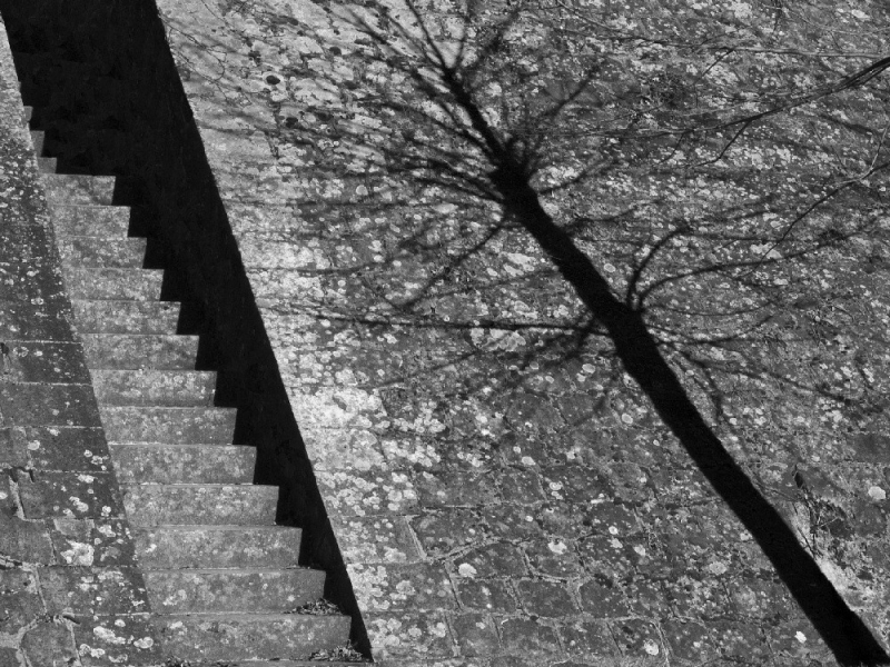 Clicca per l'immagine full size
