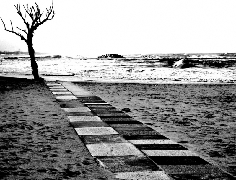 Clicca per l'immagine full size