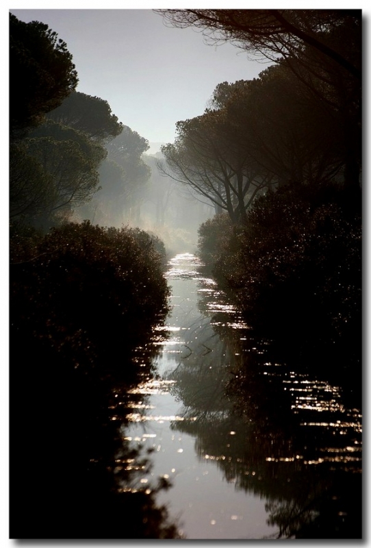 Clicca per l'immagine full size