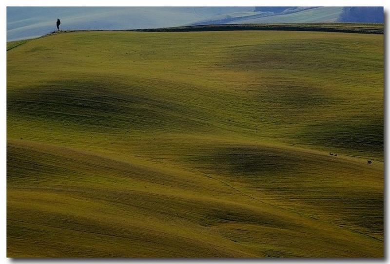 Clicca per l'immagine full size