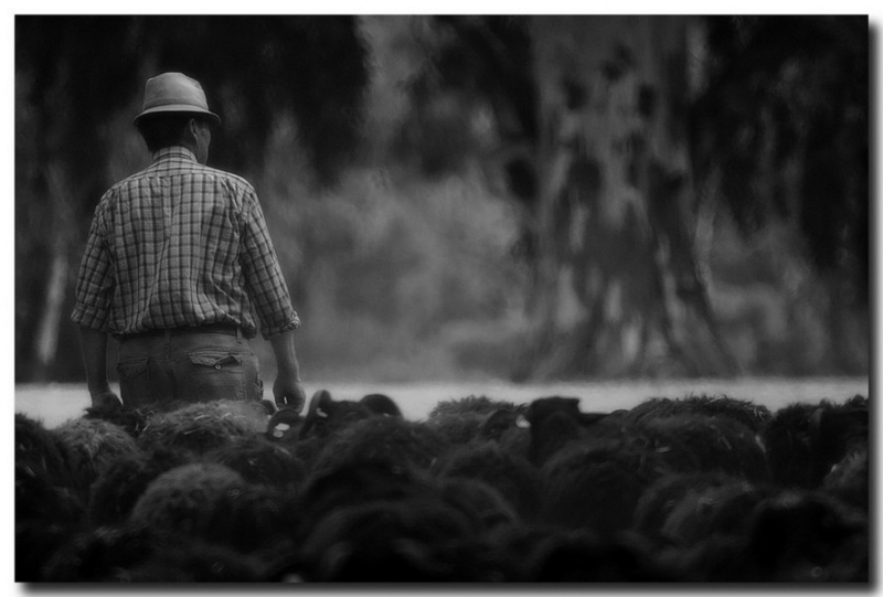 Clicca per l'immagine full size