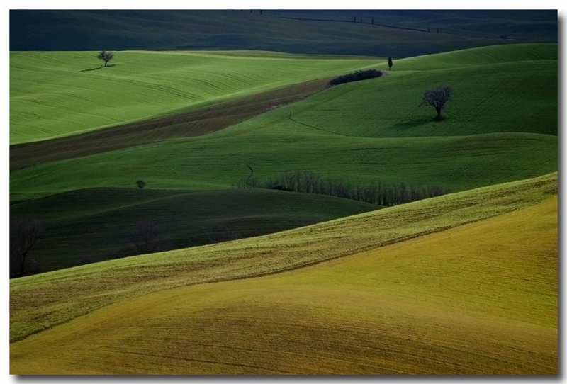 Clicca per l'immagine full size