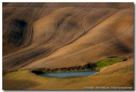MICROMOSSO_(14).JPG