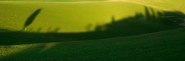 Nome File=ombre.jpg
Dimensione File=156KB
Dimensioni=1000x333
Data aggiunta=Mar 03, 2010 ombre.jpg