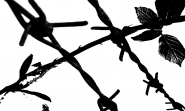 Nome File=spine.jpg
Dimensione File=108KB
Dimensioni=1000x600
Data aggiunta=Dic 06, 2011 spine.jpg