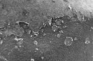 Nome File=estatepelleweb.jpg
Dimensione File=208KB
Dimensioni=800x533
Data aggiunta=Ago 20, 2010 estatepelleweb.jpg