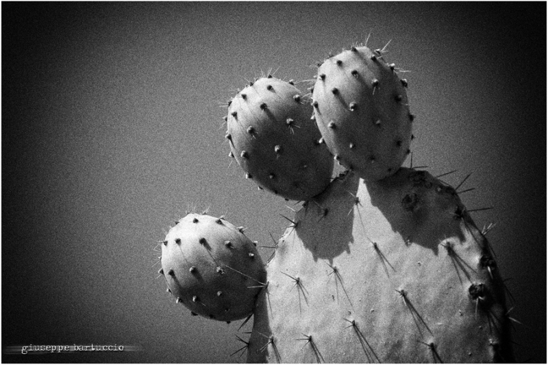 Clicca per l'immagine full size