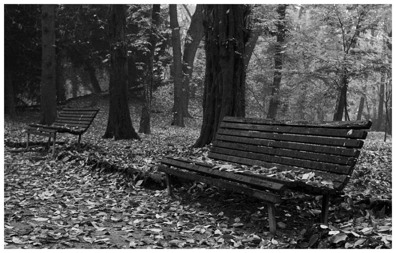Clicca per l'immagine full size