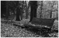 Nome File=Parco_Monza_panchine_bn.jpg
Dimensione File=354KB
Dimensioni=900x577
Data aggiunta=Nov 16, 2009 Parco_Monza_panchine_bn.jpg