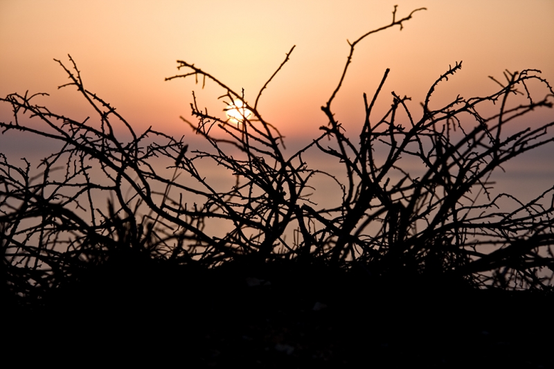 Clicca per l'immagine full size