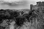 Nome File=20100814_3558_Castello_di_Vulci.jpg
Dimensione File=333KB
Dimensioni=1024x683
Data aggiunta=Ago 18, 2010 20100814_3558_Castello_di_Vulci.jpg
