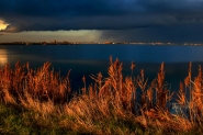 IMG_4899totmgtfg2r1.jpg