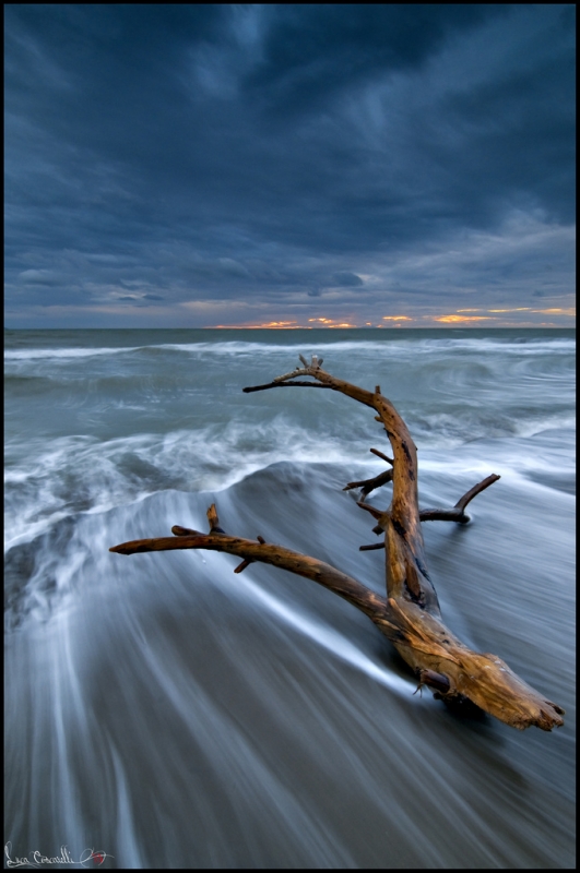 Clicca per l'immagine full size