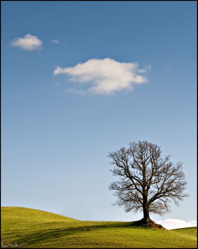 Clicca per l'immagine full size
