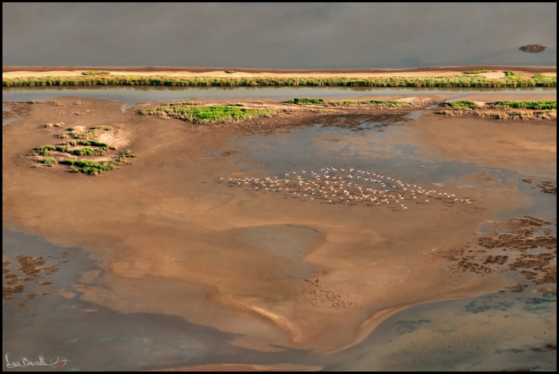 Clicca per l'immagine full size