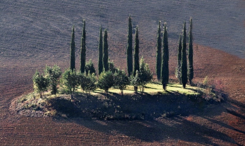 Clicca per l'immagine full size