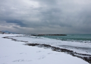 _MG_0039.jpg
