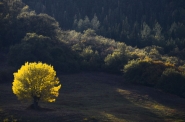 20111023_164233_valdorcia4_01.JPG