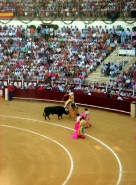 MALAGATOROSmicro.jpg