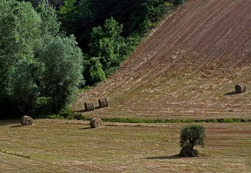 Clicca per l'immagine full size