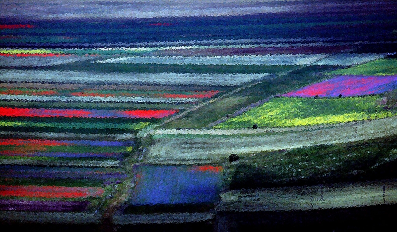 Clicca per l'immagine full size