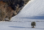 Nome File=©_Saro_Di_Bartolo-_Nine_Seasons-3.jpg
Dimensione File=324KB
Dimensioni=1024x706
Data aggiunta=Mag 12, 2010 ©_Saro_Di_Bartolo-_Nine_Seasons-3.jpg