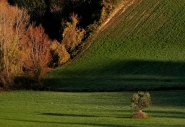 Nome File=©_Saro_Di_Bartolo-_Nine_Seasons-6.jpg
Dimensione File=335KB
Dimensioni=1024x707
Data aggiunta=Mag 15, 2010 ©_Saro_Di_Bartolo-_Nine_Seasons-6.jpg